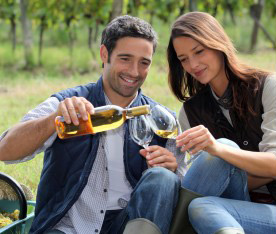 Ipsum cursus vestibulum at interdum Vivamus