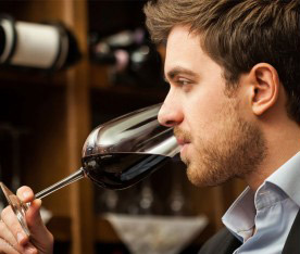 Morbi condimentum molestie Nam enim odio sodales