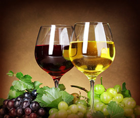 Turpis at eleifend leo mi elit Aenean porta ac sed faucibus